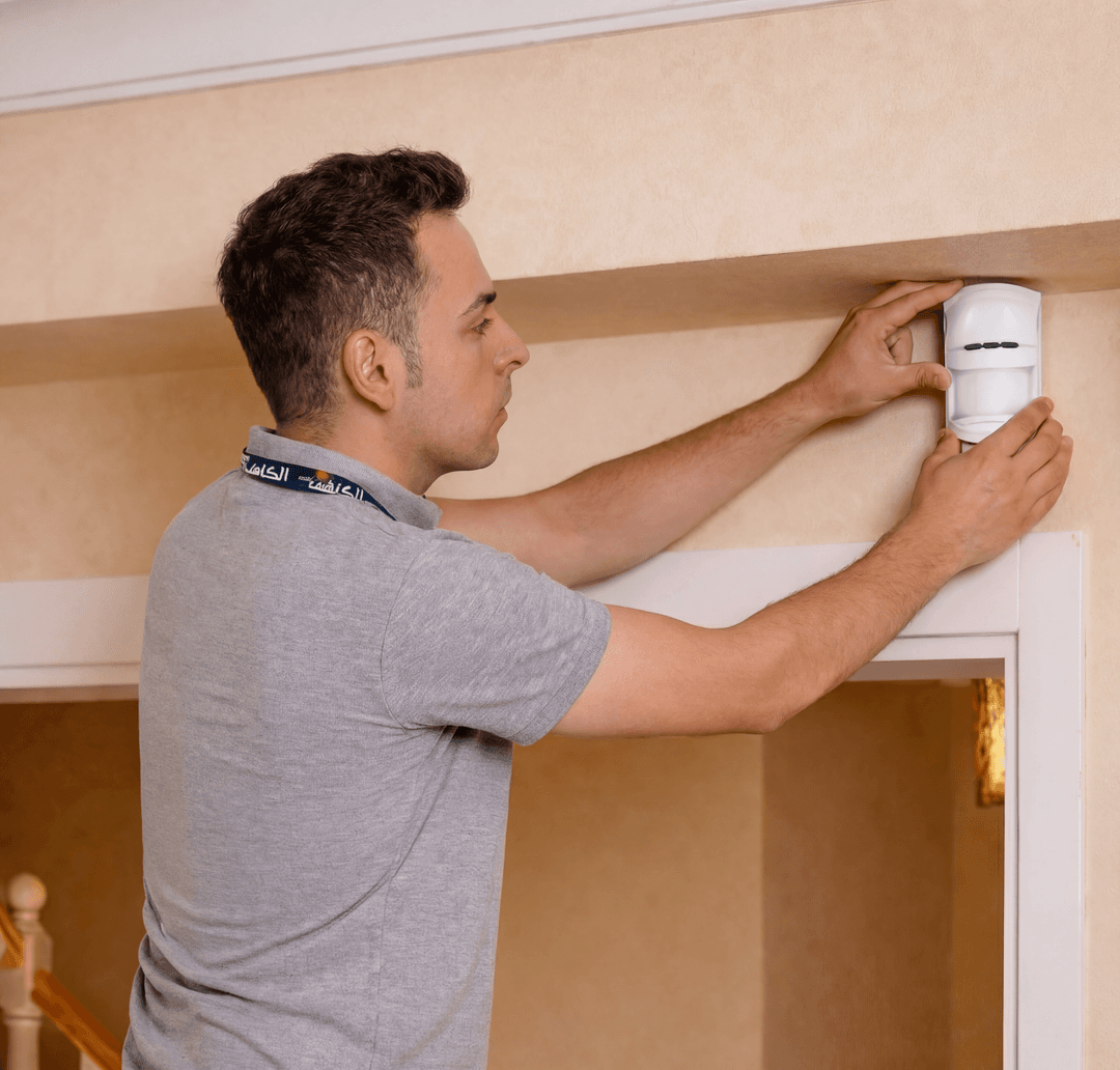 Security Professional